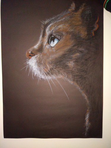 Painting titled "Kedi" by İDris Bilir, Original Artwork, Pastel