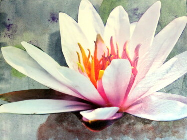 Collagen mit dem Titel "Seerose" von Silke Aschhoff, Original-Kunstwerk, Tinte