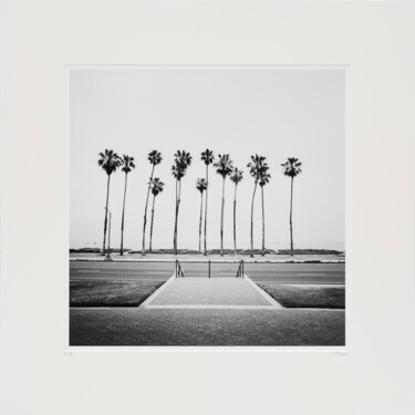 Photography titled "Palm Tree Study 1,…" by Gerald Berghammer, Original Artwork, Analog photography Mounted on Cardboard