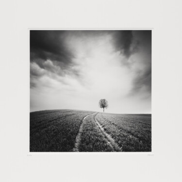 Fotografie mit dem Titel "Farmland Study 3, A…" von Gerald Berghammer, Original-Kunstwerk, Analog Fotografie