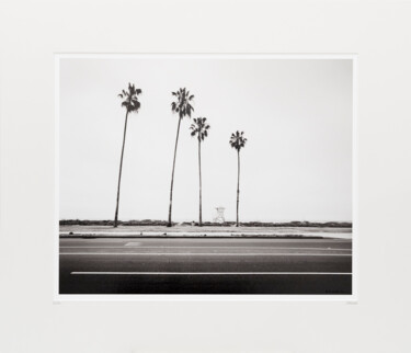 Photography titled "Palm Tree Study 4,…" by Gerald Berghammer, Original Artwork, Analog photography