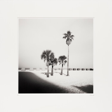 Fotografia zatytułowany „Palm Beach Study 4,…” autorstwa Gerald Berghammer, Oryginalna praca, Fotografia filmowa