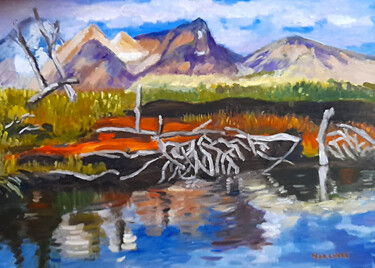 Malerei mit dem Titel "Paisaje Patagonico" von Silvia Beatriz Marcucci, Original-Kunstwerk, Öl