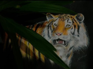 Tekening getiteld ""Tigre"" door Silvia Kupfer, Origineel Kunstwerk, Conté