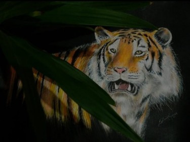 "Tigre" Desenho intitulada ""Tigre"" por Silvia Kupfer, Obras de arte originais, Conté