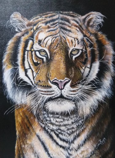 Pintura intitulada "Tiger" por Silvia Kupfer, Obras de arte originais, Acrílico
