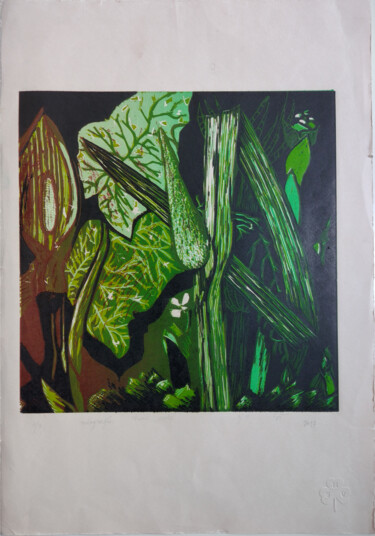 Estampas & grabados titulada "Herbáceo" por Silvia Valdano, Obra de arte original, Xilografía