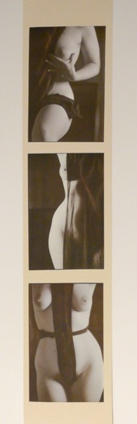 Fotografia intitolato "trittico verticale" da Silvia Benfenati, Opera d'arte originale