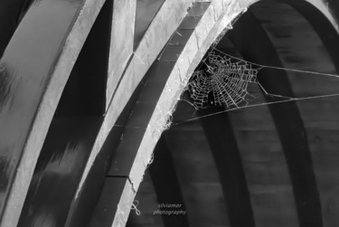 Photography titled "Spiderweb" by Silvia Marcoschamer, Original Artwork, Digital Photography