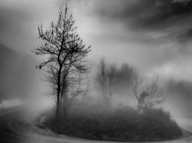 Φωτογραφία με τίτλο "foggy forest" από Simon Gaitanidis, Αυθεντικά έργα τέχνης, Ψηφιακή φωτογραφία