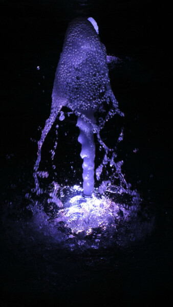 Фотография под названием "watershow 631176" - Simon Levin, Подлинное произведение искусства, Цифровая фотография