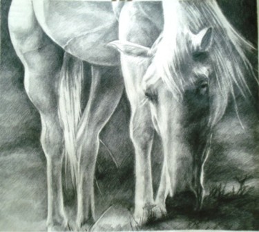 Malerei mit dem Titel "white horse" von Simona Timofei, Original-Kunstwerk, Andere