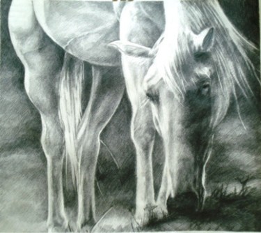 Painting titled "white horse" by Simona Timofei, Original Artwork