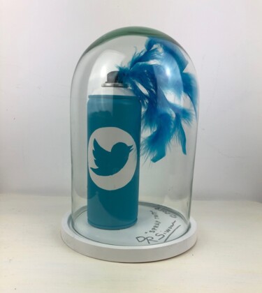 Scultura intitolato "Spray Twitt" da Simone De Rosa, Opera d'arte originale, Spray