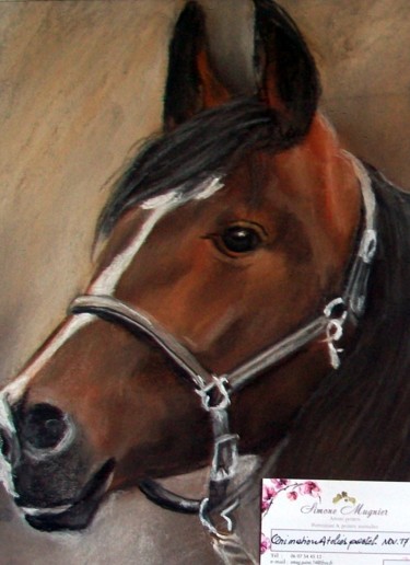 Peinture intitulée "Tête de cheval" par Simone Mugnier, Œuvre d'art originale, Pastel