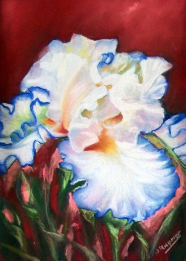Peinture intitulée "274-iris-blanc-sur-…" par Simone Mugnier, Œuvre d'art originale, Pastel