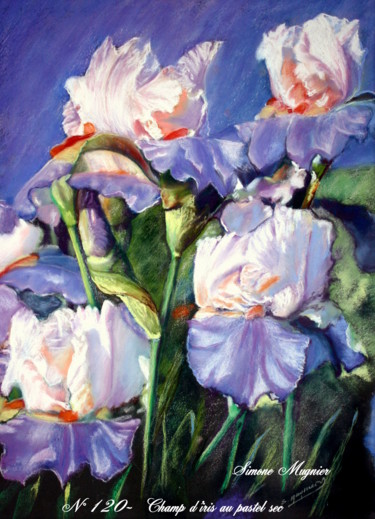 Peinture intitulée "120 - Champ-d-iris" par Simone Mugnier, Œuvre d'art originale, Pastel