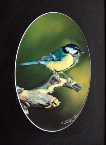 Peinture intitulée "154 -  Mésange-bleue" par Simone Mugnier, Œuvre d'art originale, Pastel