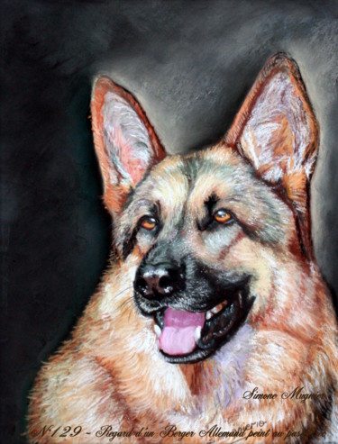 129 - Regard-d-un-berger-allemand Peinture intitulée "129 - Regard-d-un-b…" par Simone Mugnier, Œuvre d'art originale, Pastel