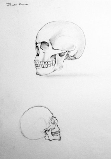 Drawing titled "Crâne" by Maria Iacuzzi (SIMPLE ART), Original Artwork, Pencil