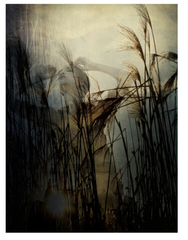 Photography titled "Sugar Cane Alley" by Sinden Collier, Original Artwork, Analog photography