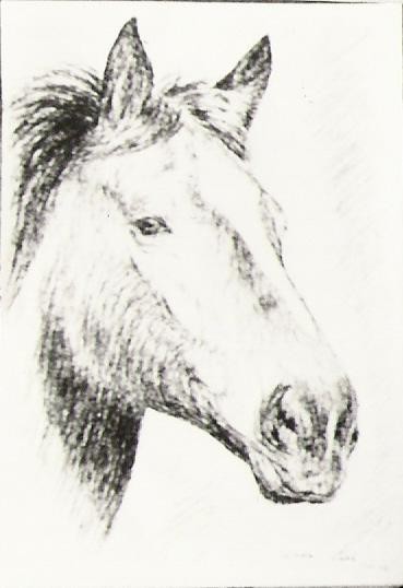 Dessin intitulée "Tête de cheval" par Lark Sindia, Œuvre d'art originale