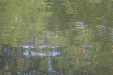 Photographie intitulée "Au fil de l'eau" par Sisi, Œuvre d'art originale, Autre