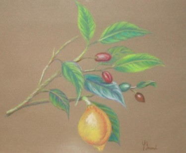Peinture intitulée "Olive et citron" par Sylvie Briand, Œuvre d'art originale