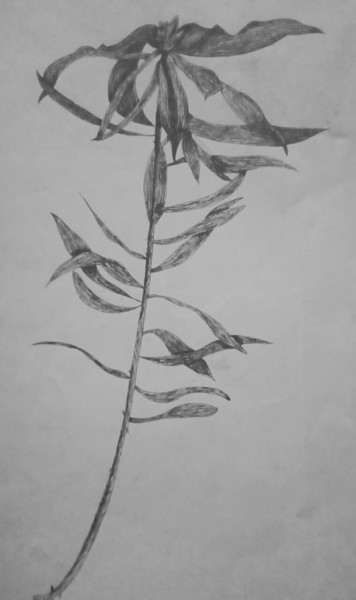 Рисунок под названием "Art Flower" - Siviwe Honobroke Mashiyi, Подлинное произведение искусства, Гелевая ручка