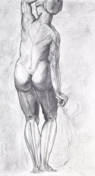 Drawing titled "Bronzino Anatomical…" by Sarah Johnson, Original Artwork