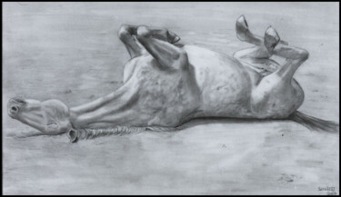 Drawing titled "rolling horse" by Skarbog, Original Artwork, Other
