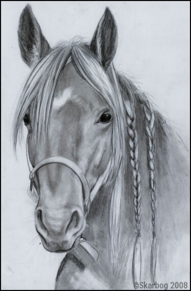 Drawing titled "Horse with braids" by Skarbog, Original Artwork, Other