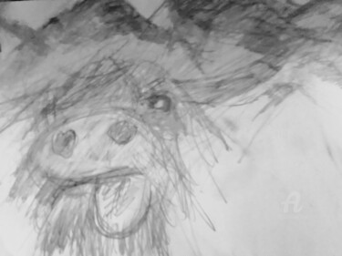 Dessin intitulée "Highland Buffalo" par Skylor Timeless, Œuvre d'art originale, Crayon