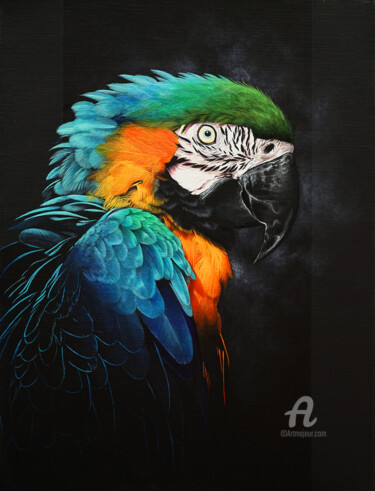 Painting titled "Parrot macaw bird p…" by Skyzune Art, Original Artwork, Acrylic Mounted on Wood Stretcher frame