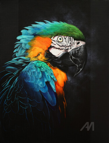 Parrot macaw bird painting Perroquet ara oiseau peinture art Painting titled "Parrot macaw bird p…" by Skyzune Art, Original Artwork, Acrylic Mounted on Wood Stretcher frame