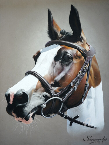 Zeichnungen mit dem Titel "SYDNEY - horse port…" von Skyzune Art, Original-Kunstwerk, Pastell