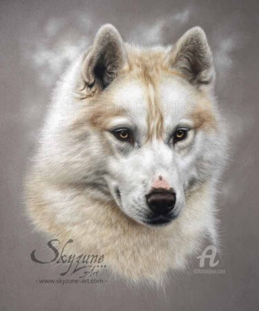 Drawing titled "Husky dog fine art…" by Skyzune Art, Original Artwork, Pastel