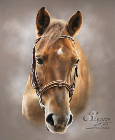 Σχέδιο με τίτλο "ALAGESSE horse port…" από Skyzune Art, Αυθεντικά έργα τέχνης, Παστέλ