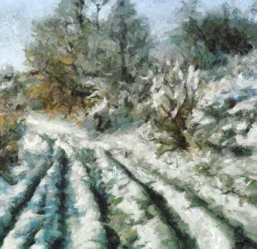 Painting titled "A marsh walk" by Dragica Micki Fortuna, Original Artwork, Oil