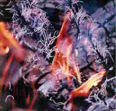 Peinture intitulée "Flaming Grey hairs" par Robert Goldsberry, Œuvre d'art originale, Huile