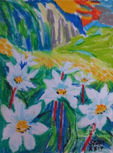 Schilderij getiteld "Les fleurs des haut…" door Slobodan Spasojevic (Spaki), Origineel Kunstwerk, Pastel