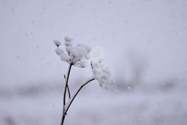 Fotografie mit dem Titel "Winter magic" von Slydesign, Original-Kunstwerk, Digitale Fotografie