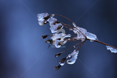 Photographie intitulée "Winter ice creation" par Slydesign, Œuvre d'art originale, Photographie numérique