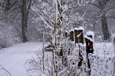 Fotografie mit dem Titel "Winterlandschaft" von Slydesign, Original-Kunstwerk, Digitale Fotografie