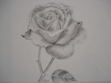 Pintura titulada "Rose" por Salzitsa Milanova, Obra de arte original