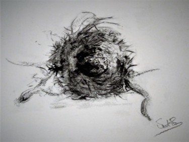 Dessin intitulée "Abandon birdnest II" par Benny Smet, Œuvre d'art originale, Fusain