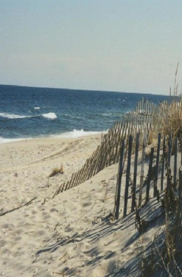 Photographie intitulée "Jersey Shore with f…" par Mary Farrell, Œuvre d'art originale