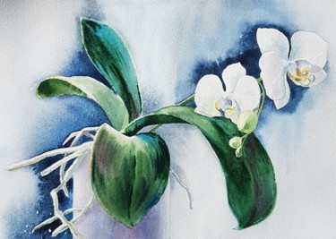 Painting titled "White orchid" by Irina Smirnova, Original Artwork, Watercolor