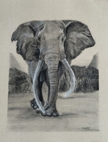 Drawing titled "Tusks" by Sneha Lobo, Original Artwork, Charcoal