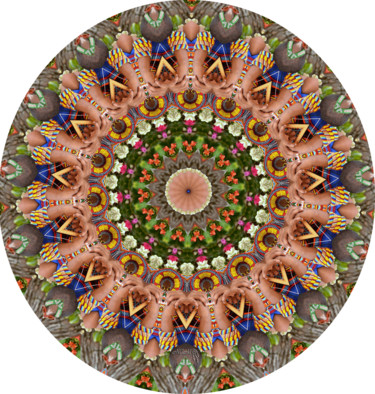 Arts numériques intitulée "Kaléidoscope fleuri" par Sniegourotchka, Œuvre d'art originale, Travail numérique 2D